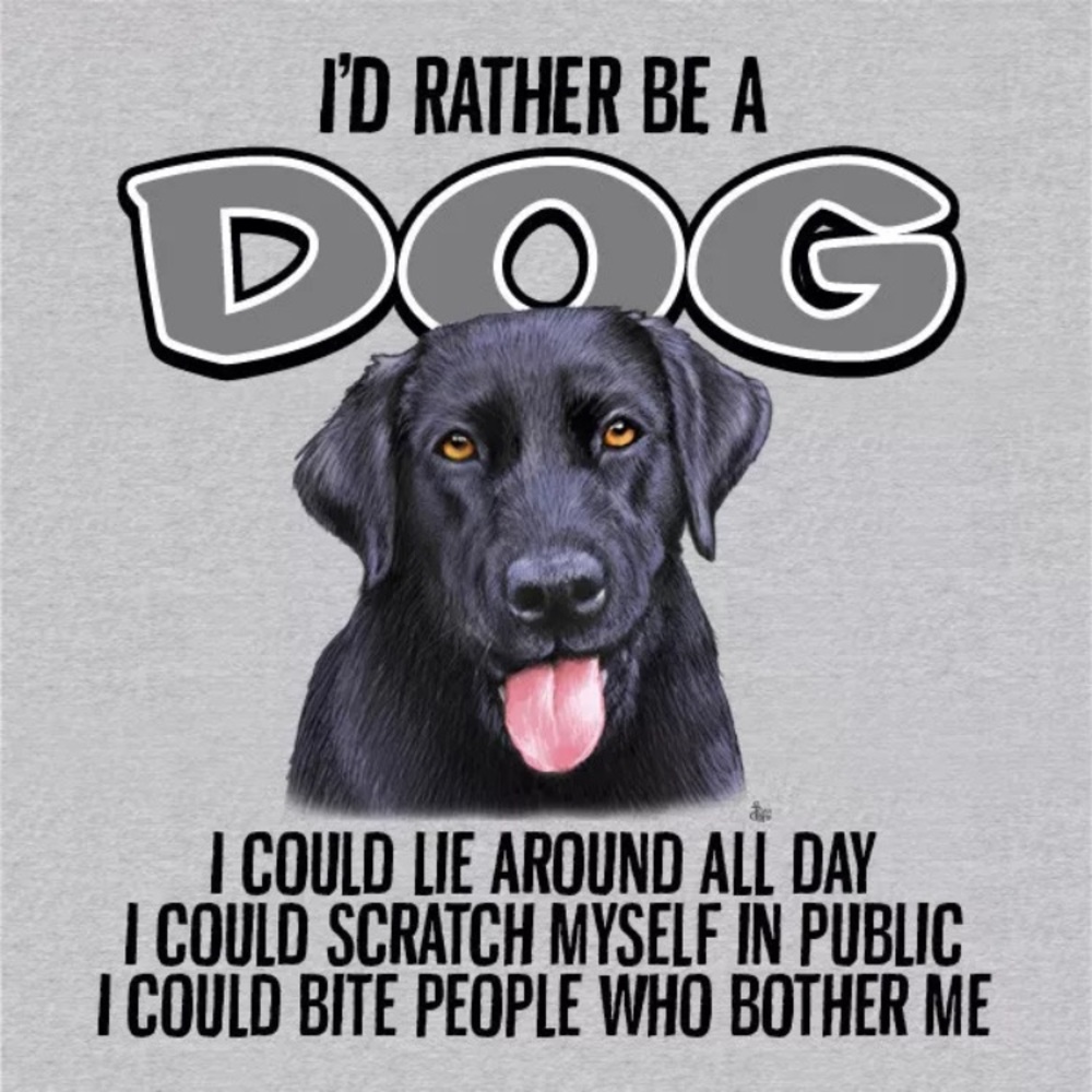 Unisex Style T-shirt I’d Rather Be A Dog